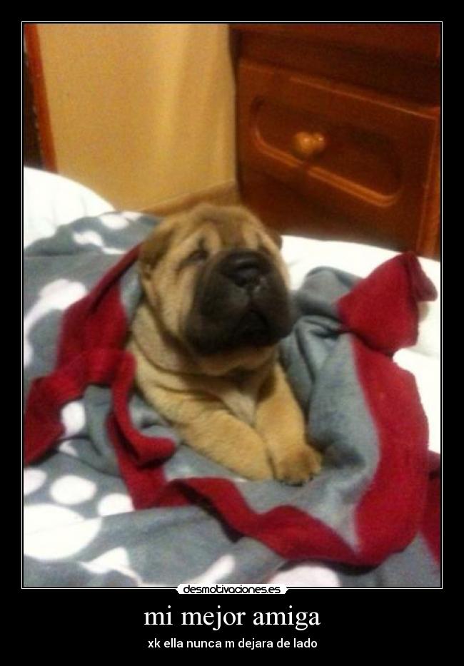 mi mejor amiga - xk ella nunca m dejara de lado