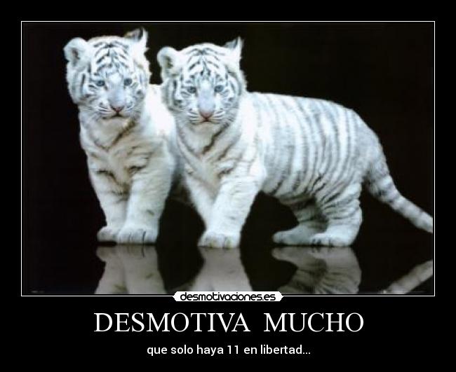 DESMOTIVA  MUCHO - 