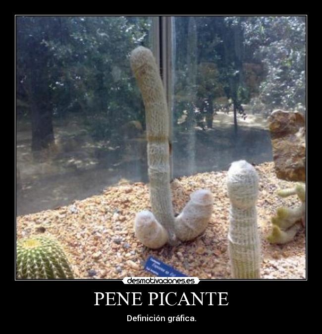 PENE PICANTE - Definición gráfica.