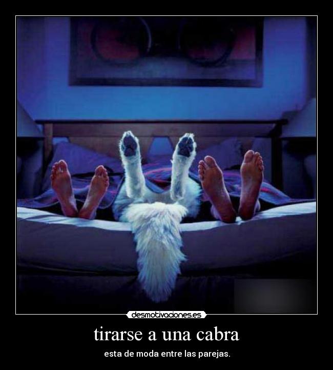 tirarse a una cabra - esta de moda entre las parejas.