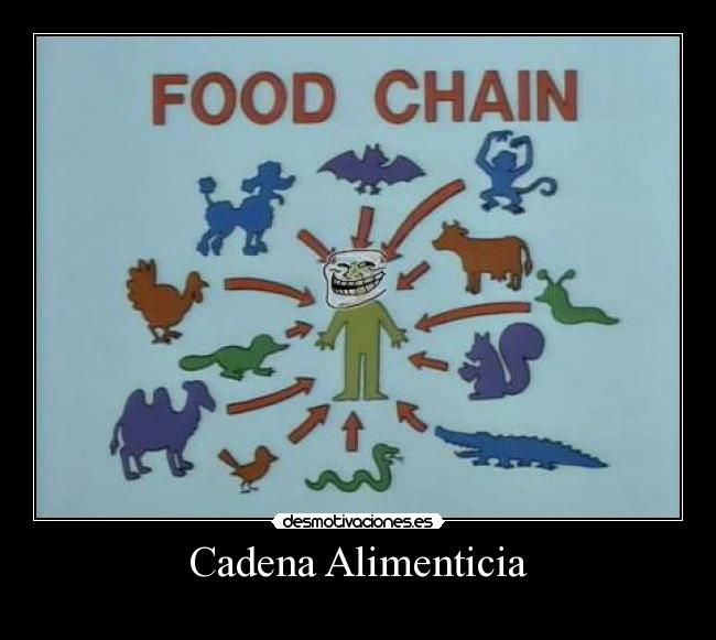 Cadena Alimenticia -