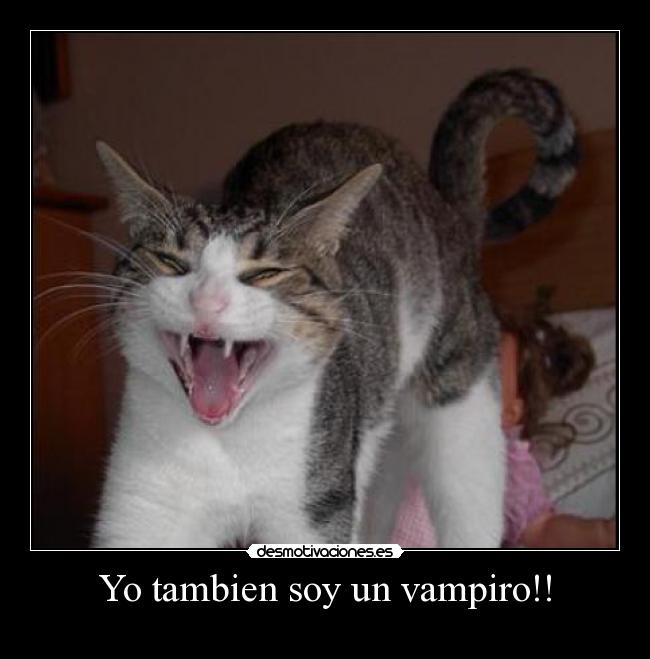 Yo tambien soy un vampiro!! -