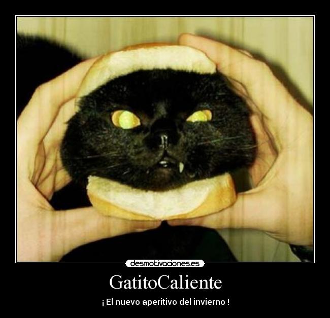 GatitoCaliente - 