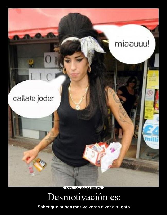 carteles amy winehouse desmotivaciones