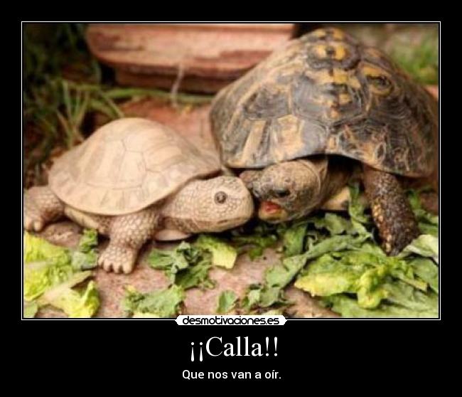 ¡¡Calla!! -