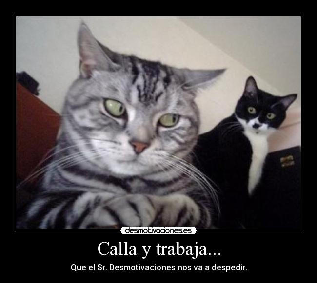 Calla y trabaja... - Que el Sr. Desmotivaciones nos va a despedir.