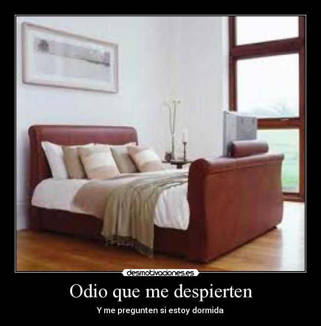 Odio que me despierten - Y me pregunten si estoy dormida