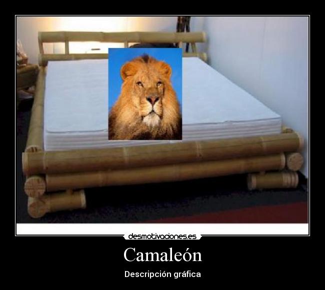 Camaleón - 