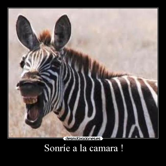 Sonríe a la camara ! -
