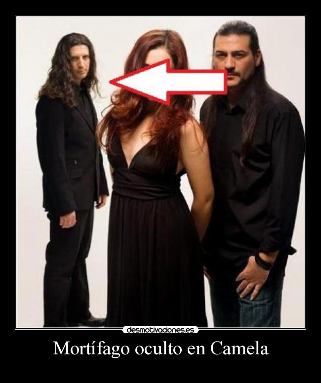 carteles mortifago camela harry potter voldemort malo desmotivaciones