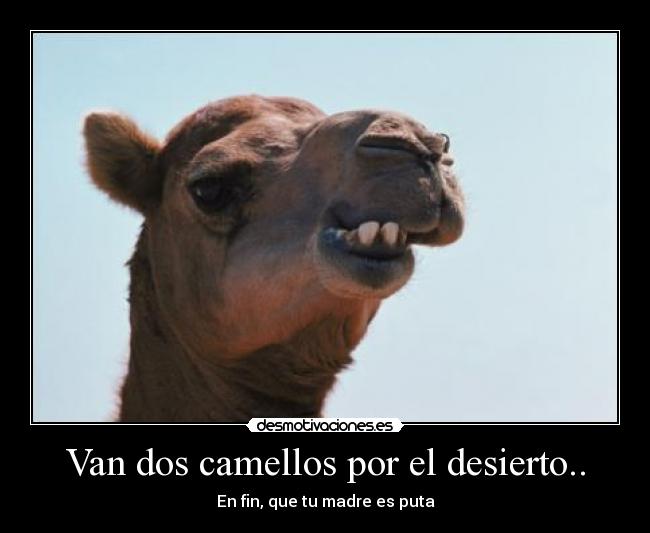Van dos camellos por el desierto.. -