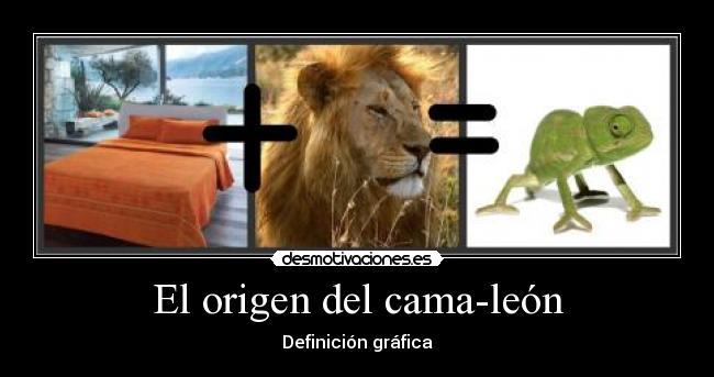 El origen del cama-león - Definición gráfica