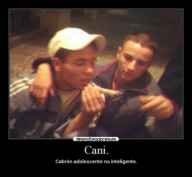 Cani. -