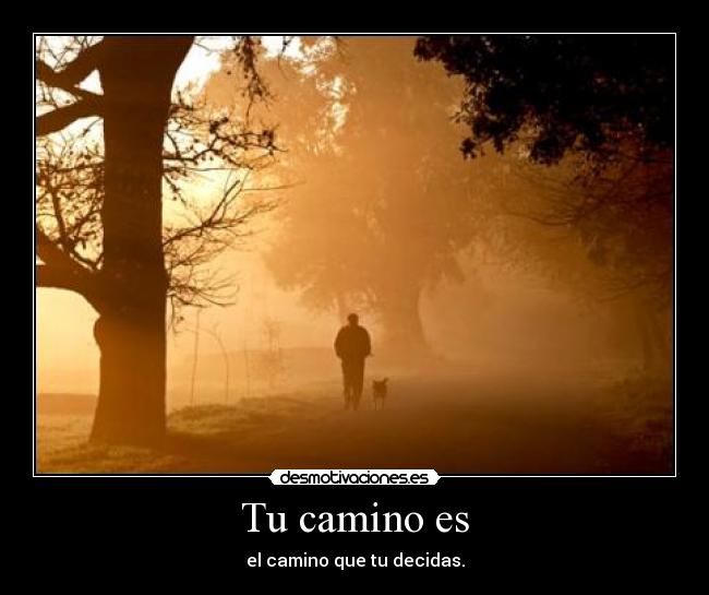 Tu camino es -