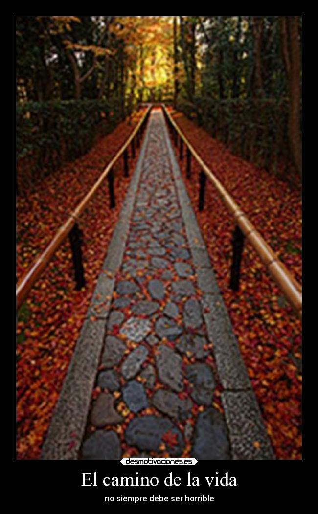El camino de la vida -