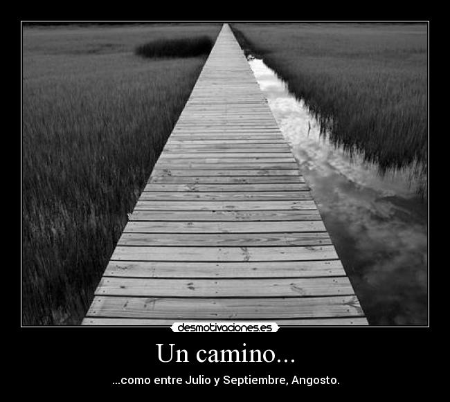 Un camino... - ...como entre Julio y Septiembre, Angosto.