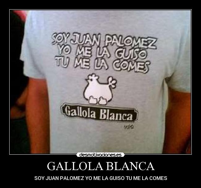 GALLOLA BLANCA - 