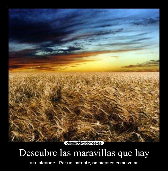 Descubre las maravillas que hay - a tu alcance... Por un instante, no pienses en su valor.