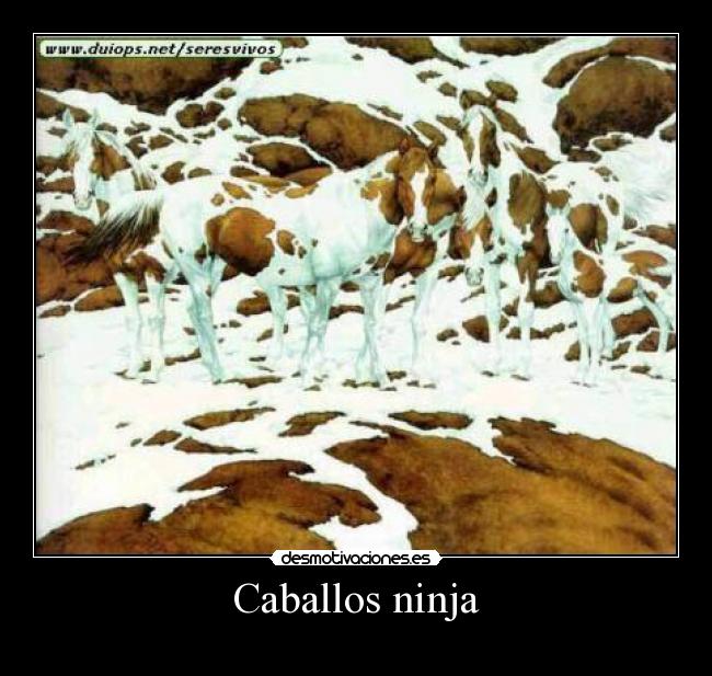 Caballos ninja -