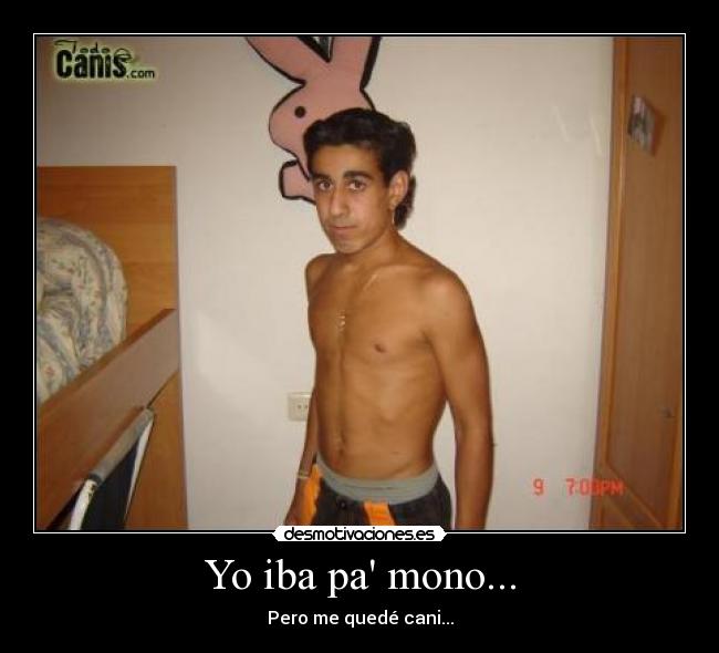 Yo iba pa mono... - Pero me quedé cani...