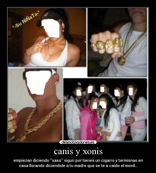 carteles macarras desmotivaciones