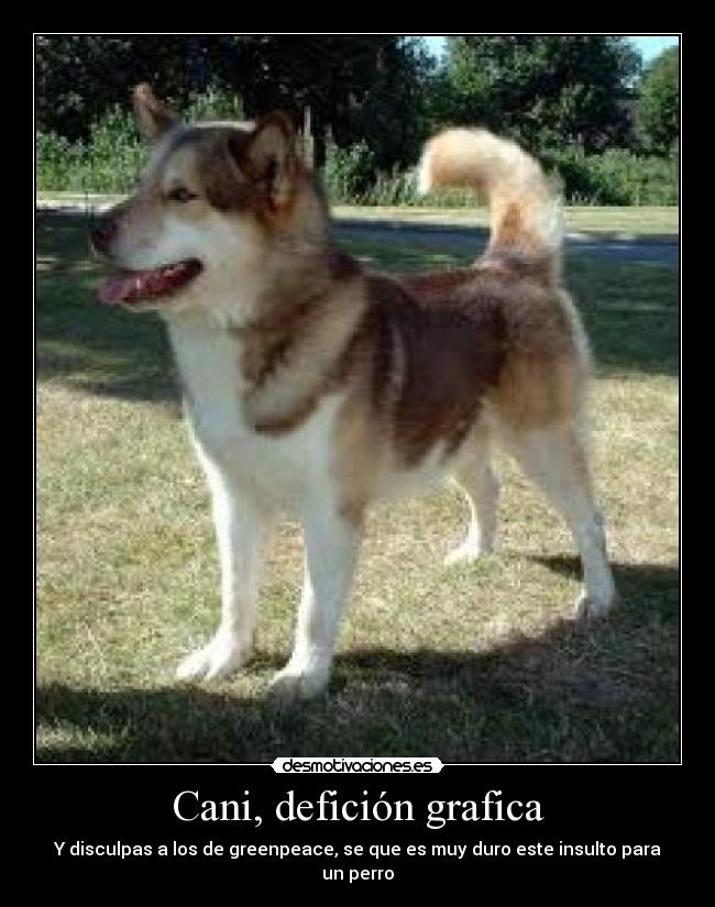 Cani, defición grafica -