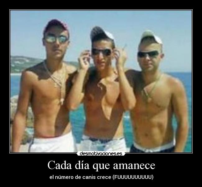Cada día que amanece - el número de canis crece (FUUUUUUUUUU)