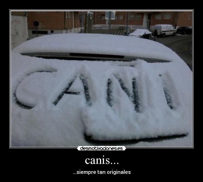 canis... - ...siempre tan originales