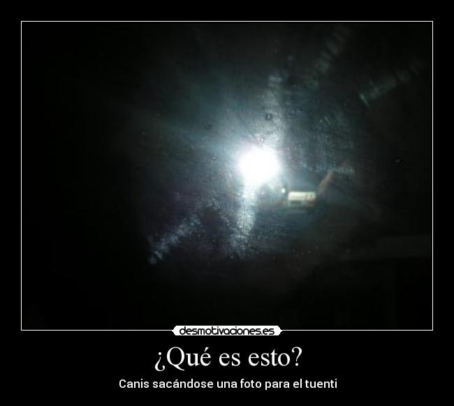 ¿Qué es esto? - Canis sacándose una foto para el tuenti