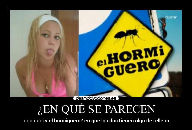 ¿EN QUÉ SE PARECEN -