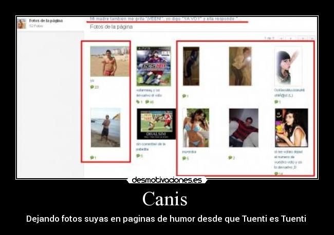 Canis  - Dejando fotos suyas en paginas de humor desde que Tuenti es Tuenti 