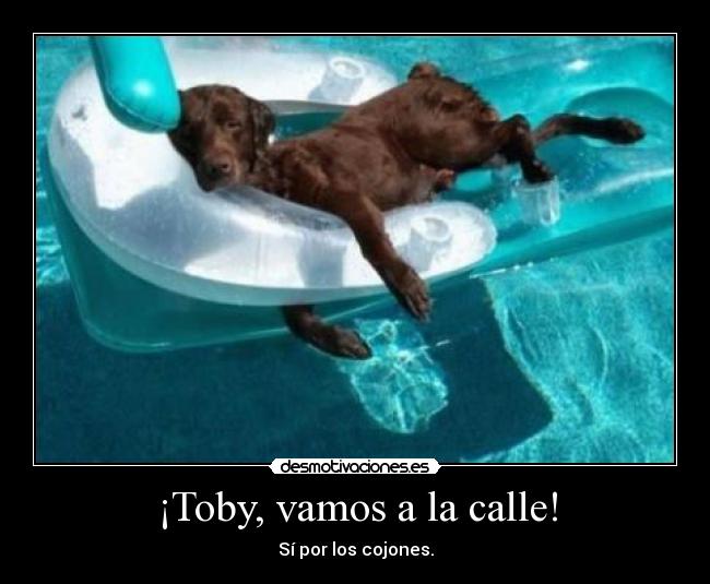 ¡Toby, vamos a la calle! - 