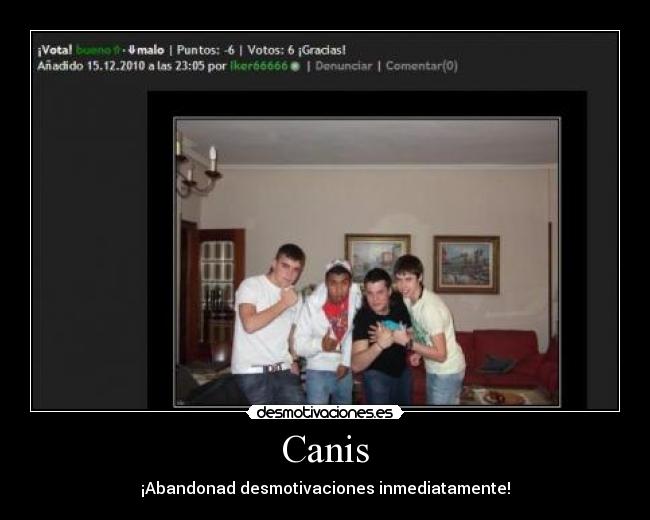 Canis - 