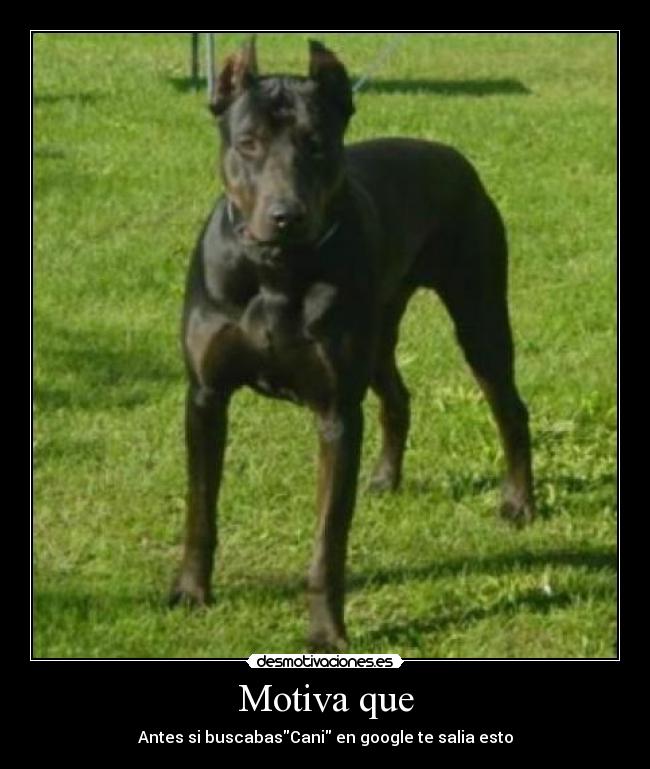 Motiva que - Antes si buscabasCani en google te salia esto