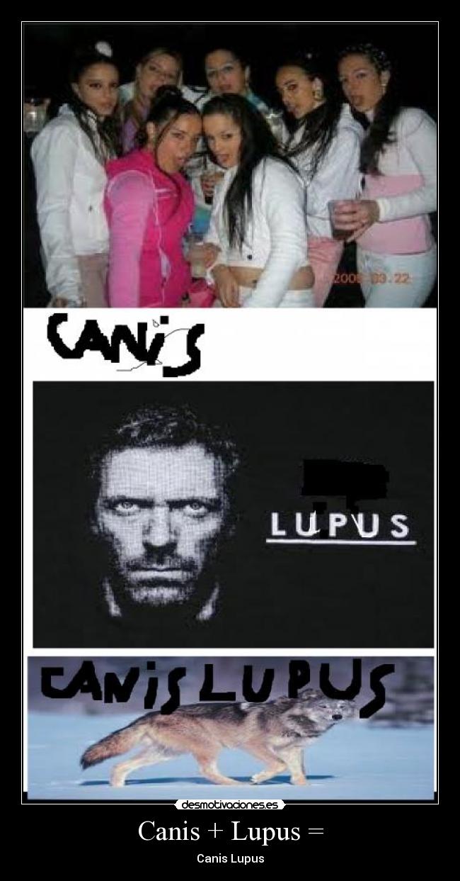Canis + Lupus = - Canis Lupus