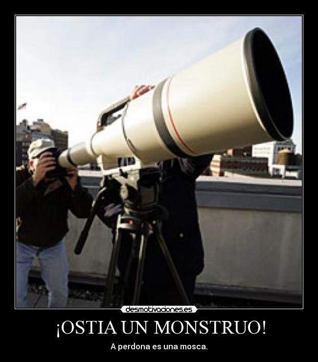 ¡OSTIA UN MONSTRUO! - A perdona es una mosca.