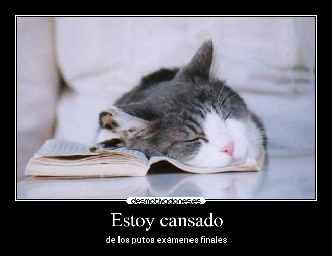 Estoy cansado -