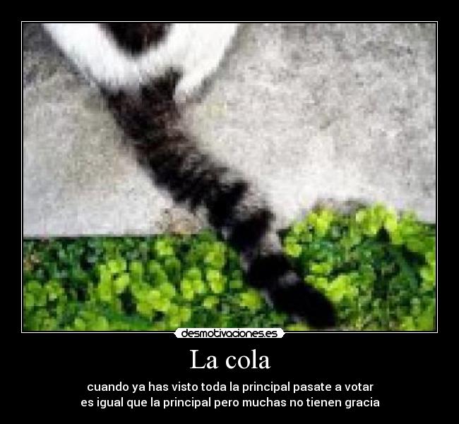 La cola - cuando ya has visto toda la principal pasate a votar
es igual que la principal pero muchas no tienen gracia