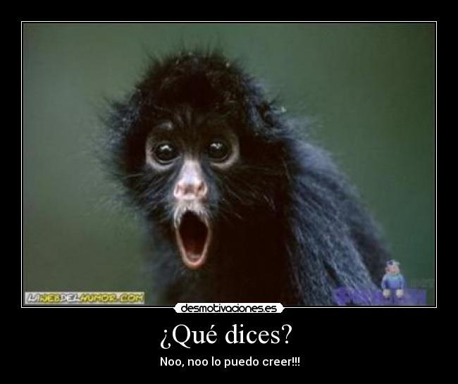 ¿Qué dices?  - Noo, noo lo puedo creer!!!