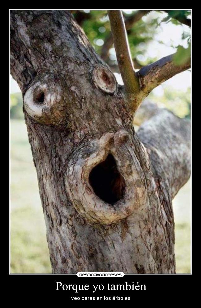 Porque yo también - 