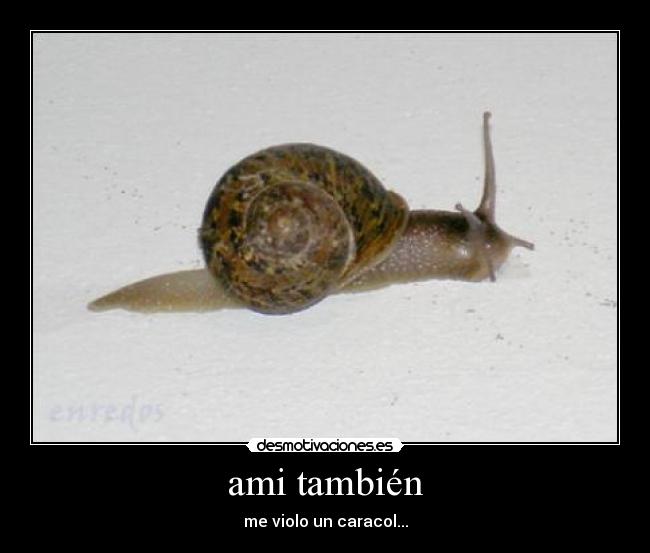 ami también - 