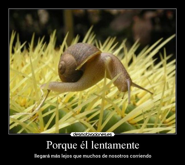 carteles lentamente corriendo desmotivaciones