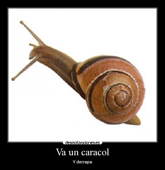 Va un caracol - Y derrapa