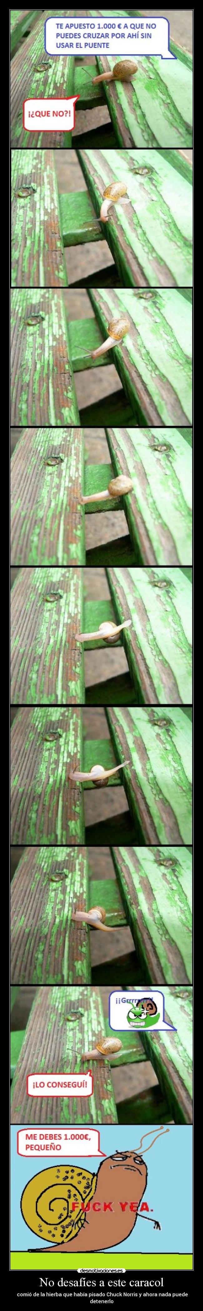 carteles caracol banco desafio desmotivaciones