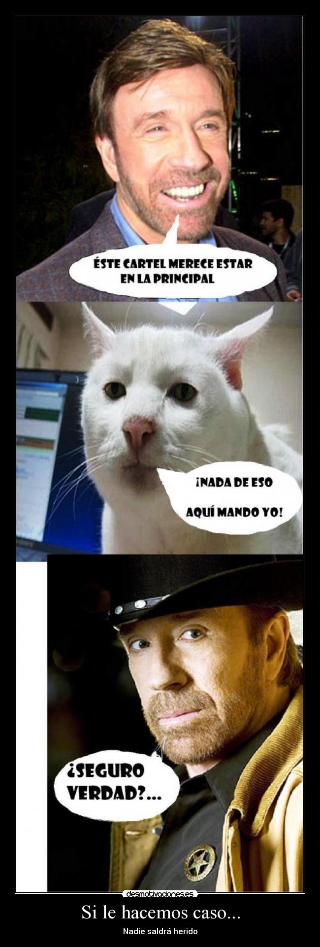 Si le hacemos caso... -