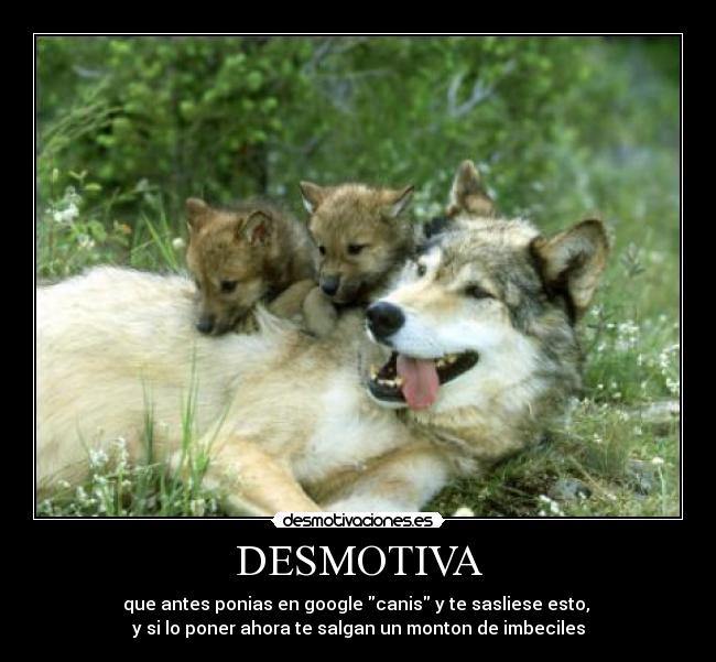 DESMOTIVA -
