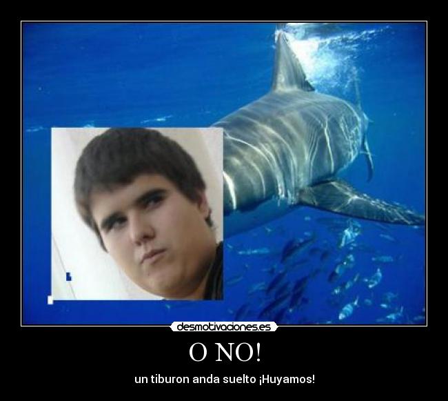 carteles carlos sus tres filas dientes desmotivaciones