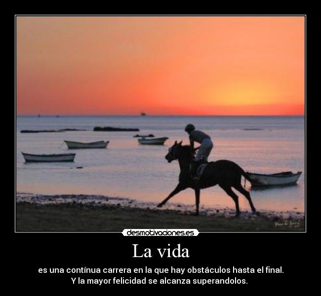La vida - es una contínua carrera en la que hay obstáculos hasta el final.
Y la mayor felicidad se alcanza superandolos. 