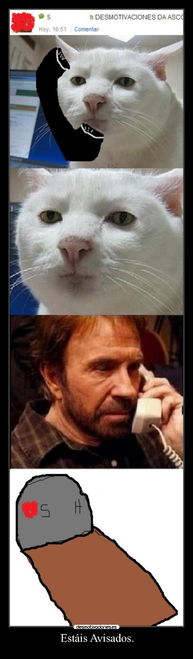 carteles srdesmotivaciones chuck norris cani avisado desmotivaciones