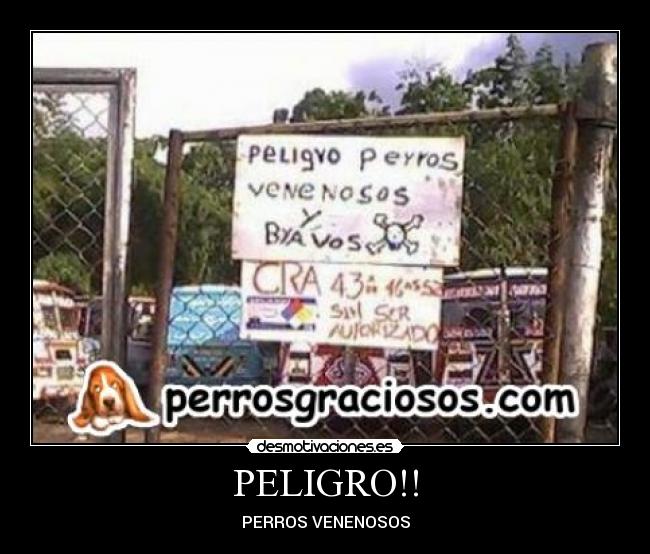 PELIGRO!! - PERROS VENENOSOS